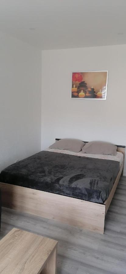 Appartement Avec Balcon Et Parking Prive Roanne Dış mekan fotoğraf